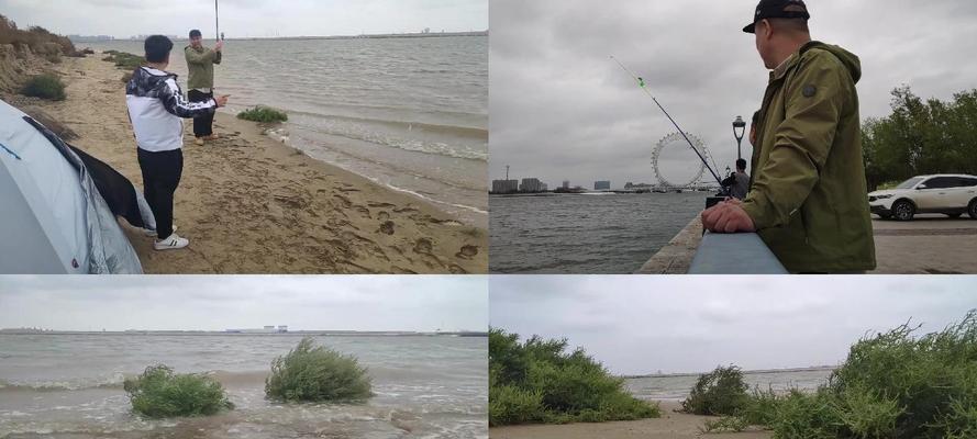 海边自然钓鱼技巧（享受海风与大海的回馈）