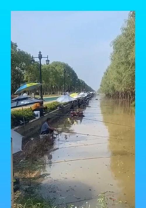 河钓鱼技巧大揭秘（掌握这些方法）