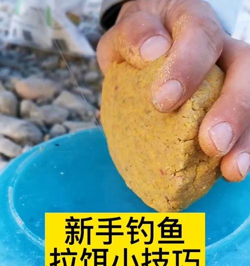 河边钓鱼新手技巧（掌握关键钓技）