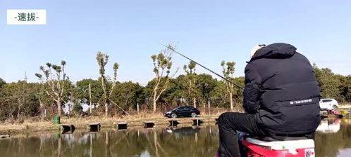 河里流水钓鲤鱼的技巧与方法（享受大自然乐趣的钓鱼秘诀）