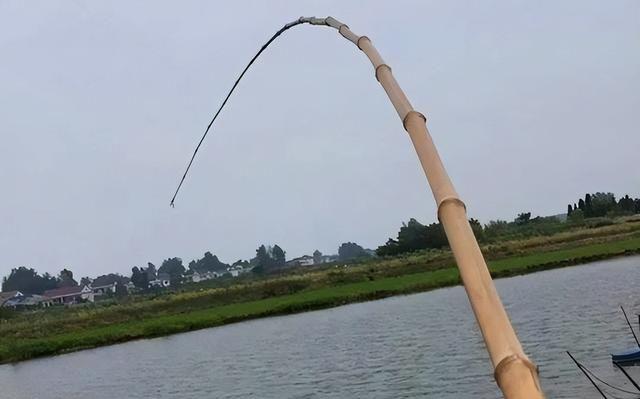 河水浑浊也能钓鱼吗（掌握技巧）