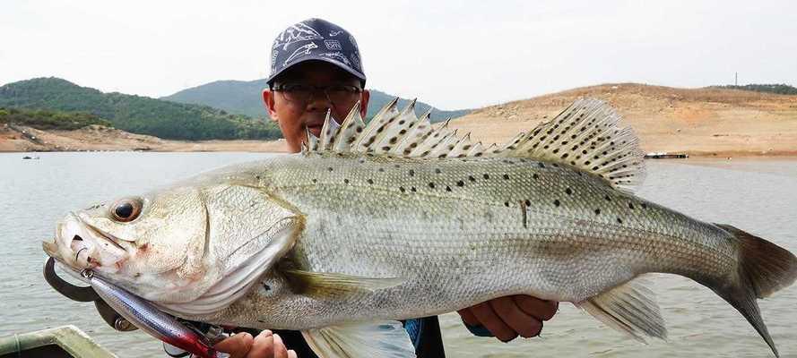 野钓鲈鱼技巧与方法（掌握河里钓鲈鱼的技巧）