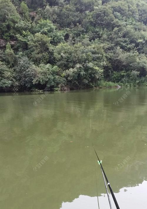 河钓技巧大揭秘（以河里走水钓鱼的方法和技巧）