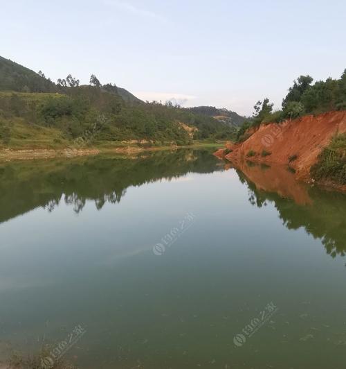 河流坝口钓鱼技巧（掌握技巧）