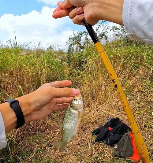 河流钓鱼技巧大全（流水中的捕鱼技巧分享）