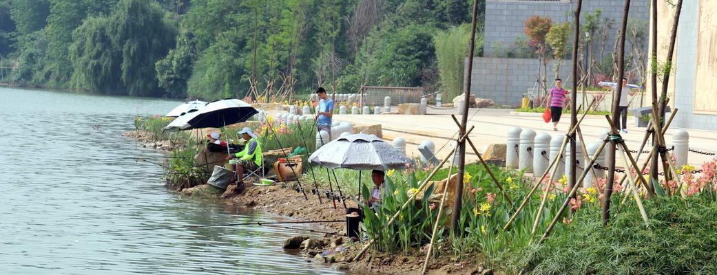 河流钓鱼的技巧和方法（钓鱼达人分享）