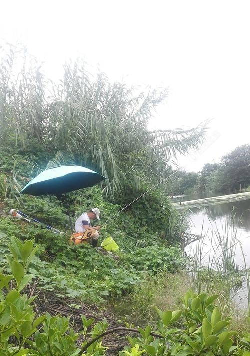 河流钓鱼技巧全解析（掌握正确的钓鱼技巧）