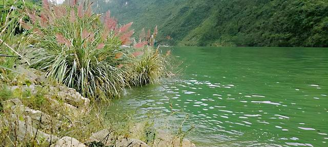 河流钓鱼的方法和技巧（掌握流水中的捕鱼秘诀）