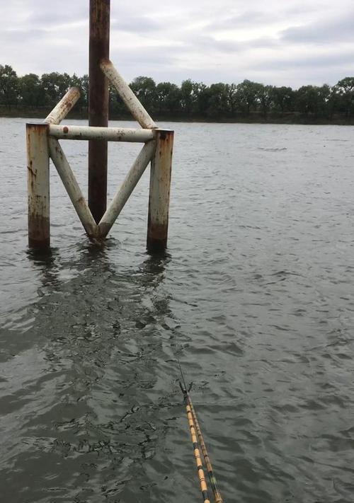 钓鱼大全——河流中的方法和技巧（掌握河流钓鱼的关键）