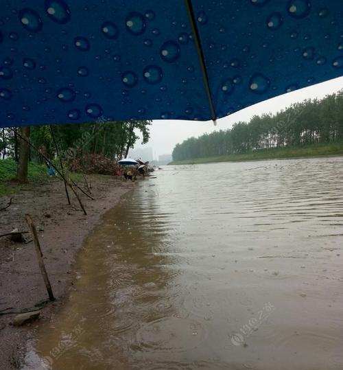 河流发洪水的钓鱼技巧（如何在洪水中钓鱼）