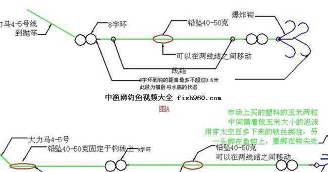 河流抛竿钓鱼技巧（掌握竿法称王河流）