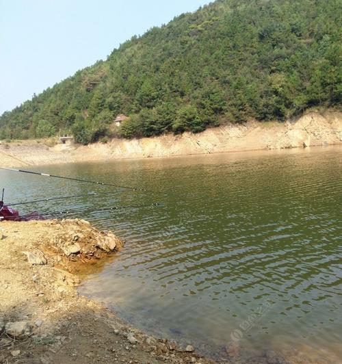 河流水库野钓选位技巧与方法（让您的钓点选得恰到好处）