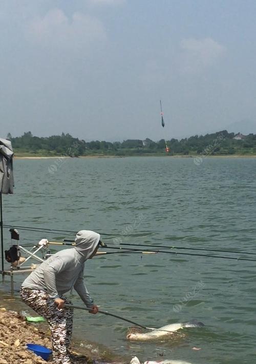 河流水库野钓选位技巧与方法（让您的钓点选得恰到好处）