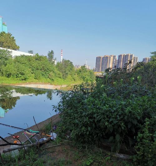 夏季河流钓鱼技巧（享受夏日河边垂钓乐趣）