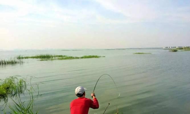 河流野钓调漂技巧（提高钓鱼效果的实用技巧）