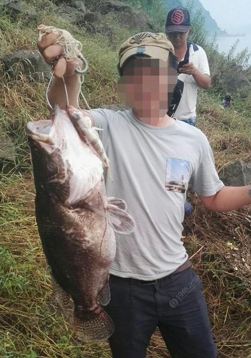 河流野钓桂鱼技巧（掌握桂鱼钓技）