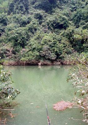 河流马口野钓技巧大全（掌握这些技巧）