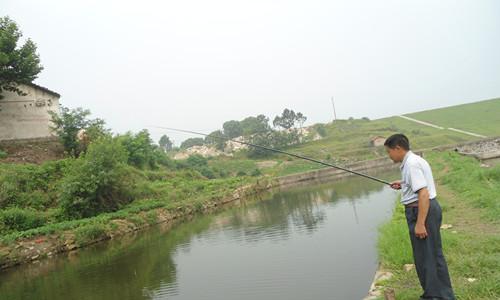 河南油田鱼塘钓鱼技巧（探秘钓鱼技巧）