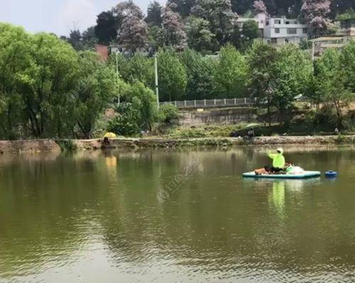 河南油田鱼塘钓鱼技巧与方法（探寻钓鱼圣地）