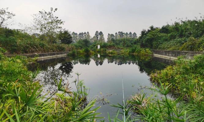 河水渠沟钓鱼技巧（掌握技巧）