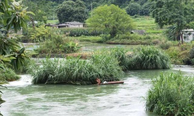 河水湍急钓鱼技巧（掌握好鱼情捕获满满）