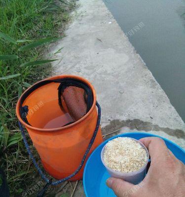 雨天钓鱼的技巧（让你在河水雨天中成功钓鱼的经验与技巧）