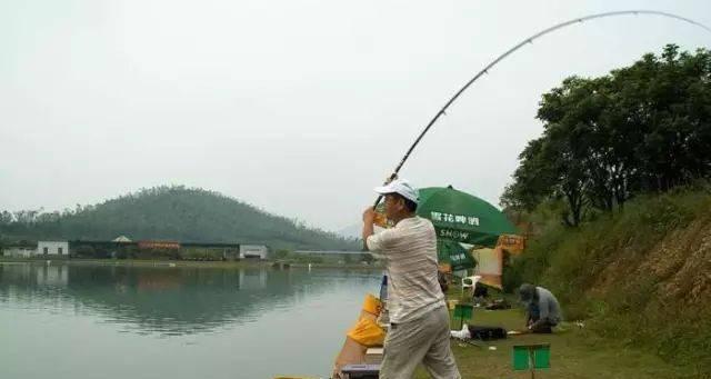 河中用海竿钓鱼技巧（掌握技巧）