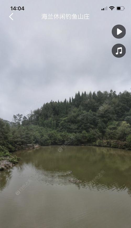 荷花谷黑坑钓鱼技巧（探秘荷花谷黑坑）