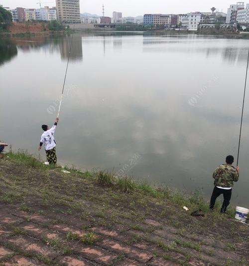 荷叶钓鱼的正确方法与技巧（挑选合适钓点）