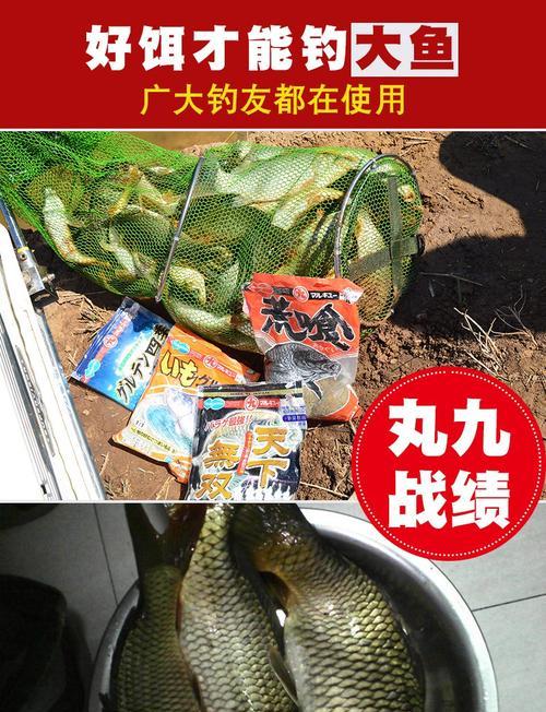 黑坑钓鲫鱼饵使用技巧（掌握黑坑钓鲫鱼的关键要点）