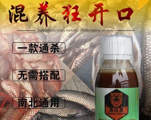 黑坑钓鱼的选位技巧和饵料搭配（钓鱼好地点挑选及饵料组合）