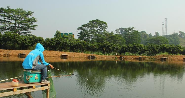 黑坑钓鱼技巧与方法（深浅两用）