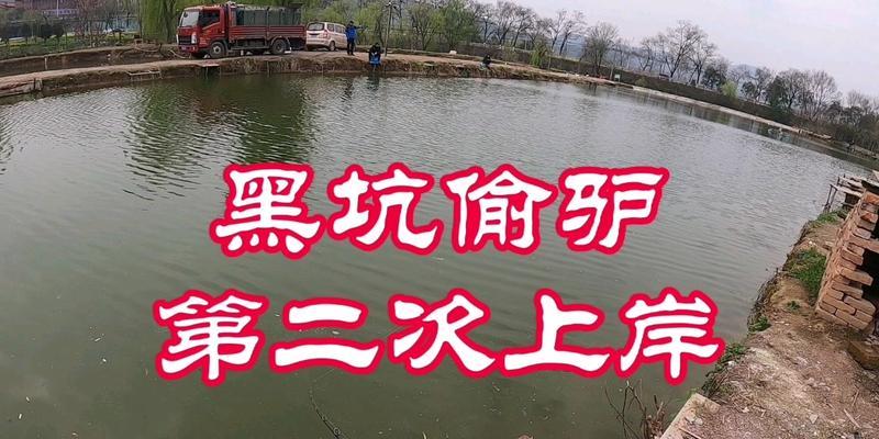 黑坑钓鱼技巧与方法（深浅两用）