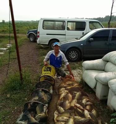 黑坑钓鱼的技巧教学（掌握精湛的黑坑钓鱼技巧）