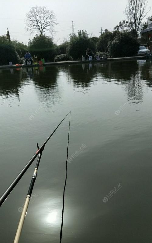 黑坑钓鱼的技巧教学（掌握精湛的黑坑钓鱼技巧）