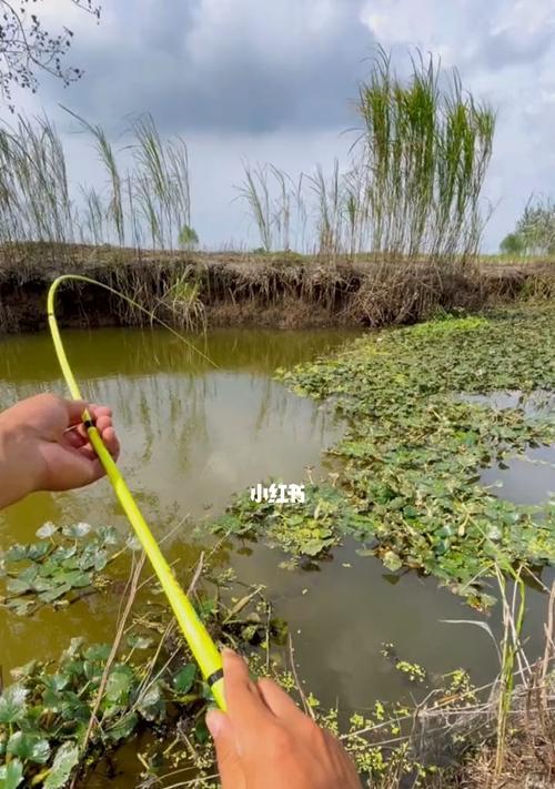 混浊水域钓鱼技巧（应对混浊水域中的钓鱼挑战）