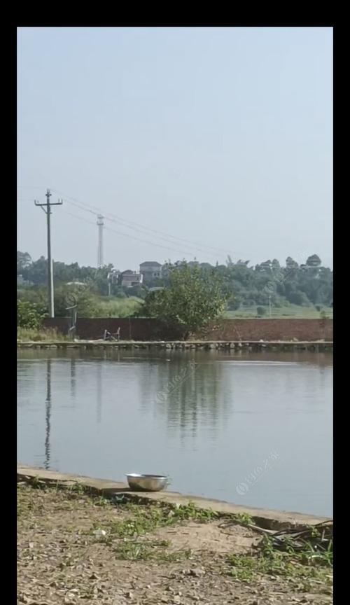 活水钓鱼技巧大揭秘（掌握活水钓鱼的口诀）