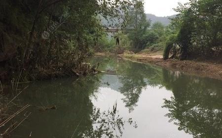 活水野坑钓鲫鱼的技巧（掌握关键点）