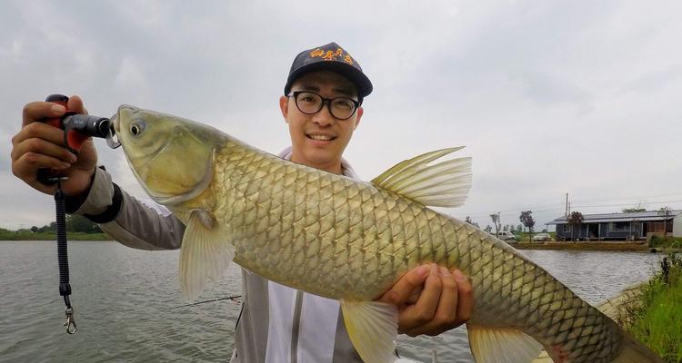 活鱼饵钓鱼技巧教学（掌握活鱼饵的使用方法）