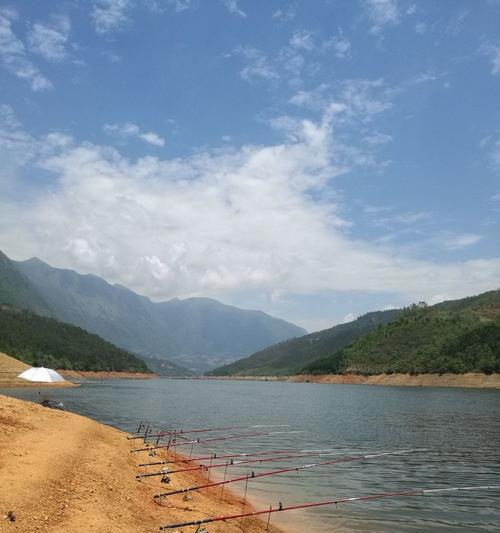 江中流水钓鱼技巧大揭秘（掌握这一技巧）