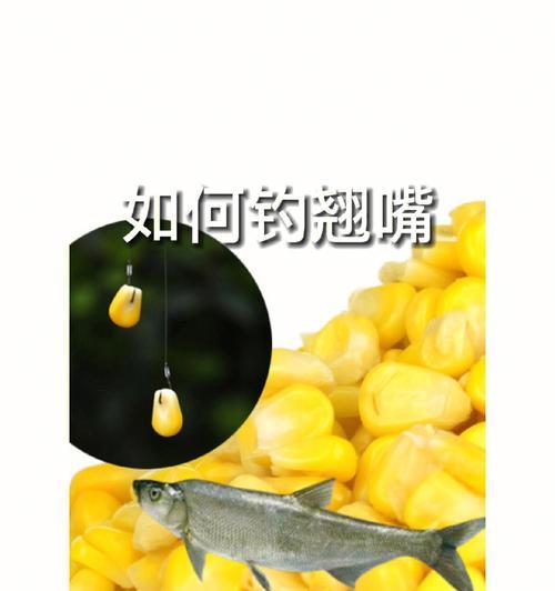 降温钓鱼用饵技巧（提升成功率的有效方法）