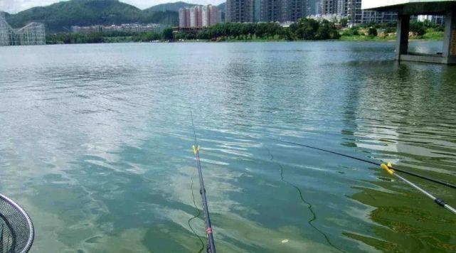 探秘礁石海岸手竿钓鱼的技巧（享受自然乐趣）