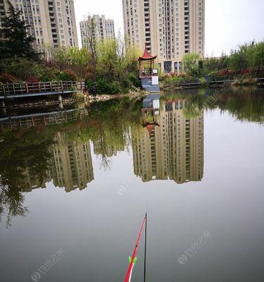 掌握接窝子钓鱼技巧的秘诀（学会以接窝子钓鱼技巧提高钓鱼水平）