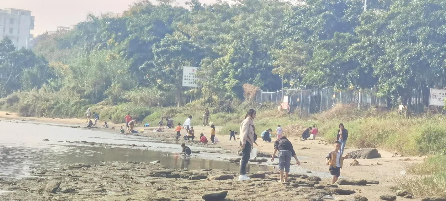 金沙湾钓鱼技巧大揭秘（掌握这些技巧）