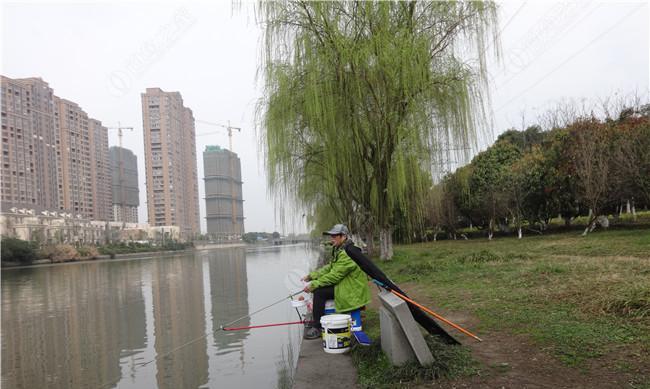 进水闸口钓鱼技巧（增加钓鱼成功率的有效方法）