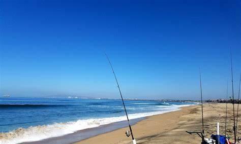 近海海钓沉底钓鱼技巧（掌握技巧）