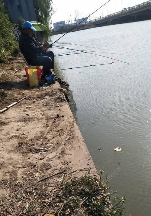 近期天气钓鱼技巧（应对变幻莫测的天气）