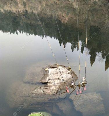 九坑河水库钓鱼技巧（探秘钓鱼圣地）