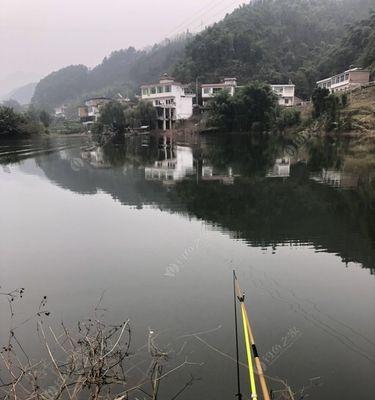 立冬后野河钓鱼技巧（掌握钓位）