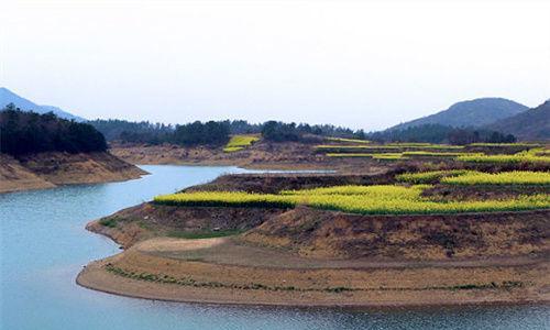 立冬野钓坑塘鲫鱼技巧（钓友必备）